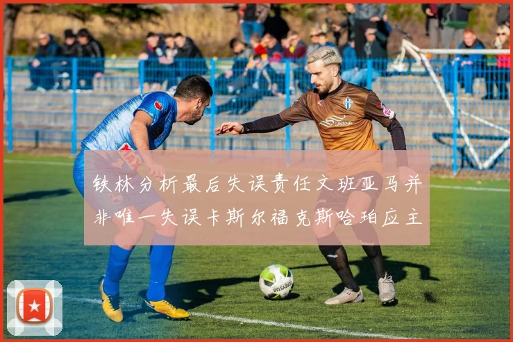 铁林分析最后失误责任文班亚马并非唯一失误卡斯尔福克斯哈珀应主动接球