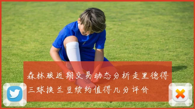 森林狼近期交易动态分析走里德得三球换兰豆续约值得几分评价