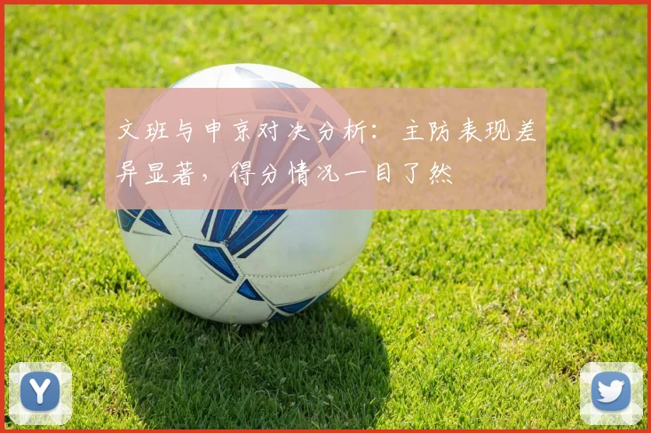 文班与申京对决分析：主防表现差异显著，得分情况一目了然