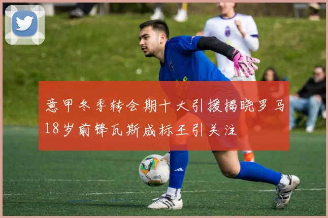 意甲冬季转会期十大引援揭晓罗马18岁前锋瓦斯成标王引关注