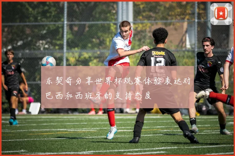 东契奇分享世界杯观赛体验表达对巴西和西班牙的支持态度